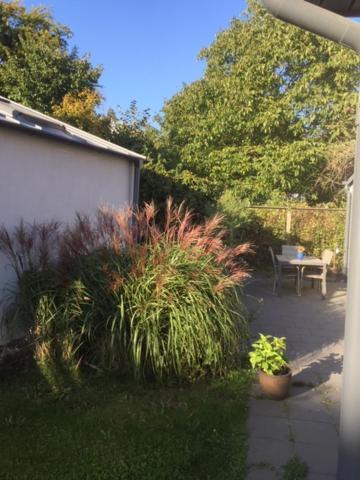 The Garden House Apartment